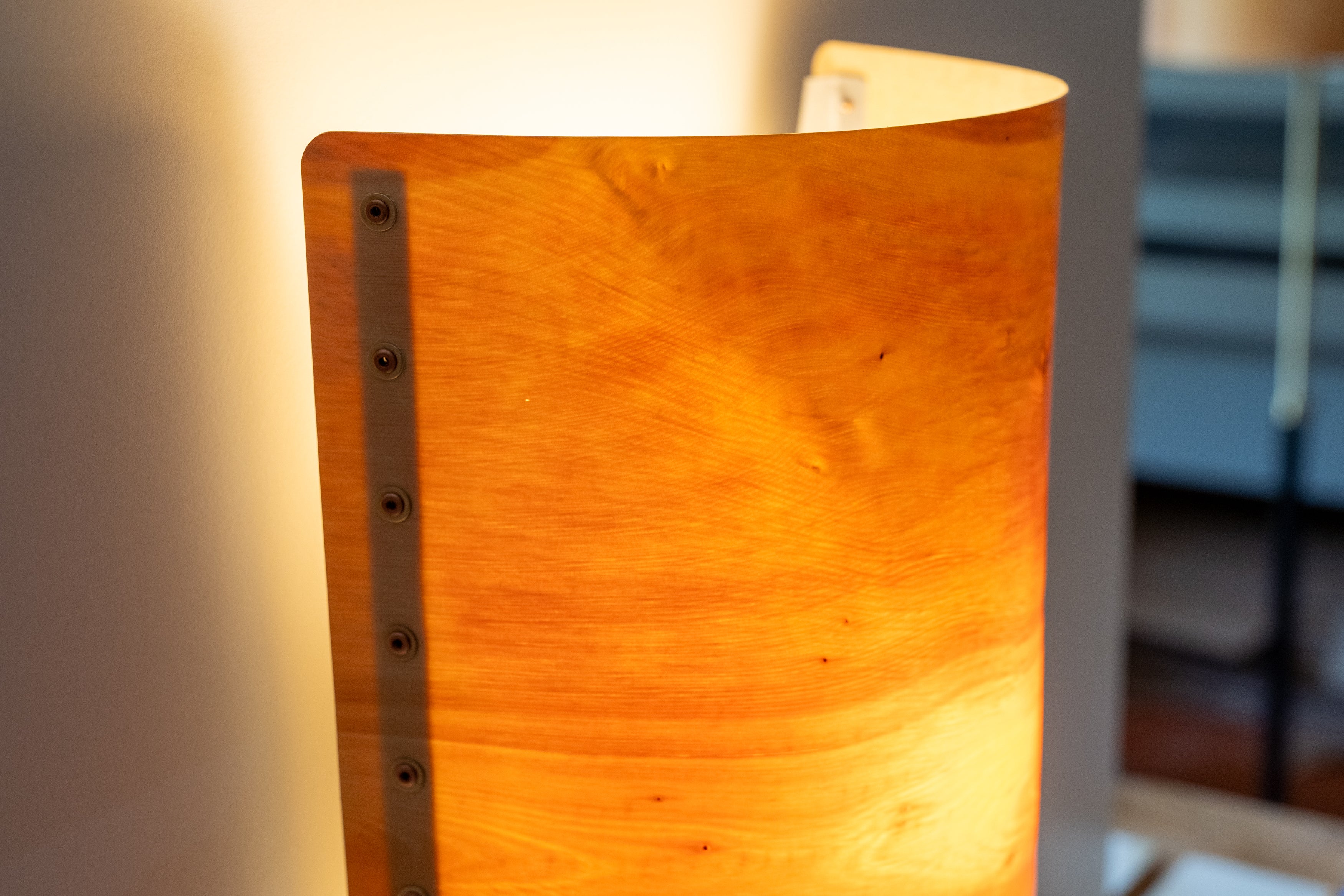 Timber Veneer Half Drum Wall Lights