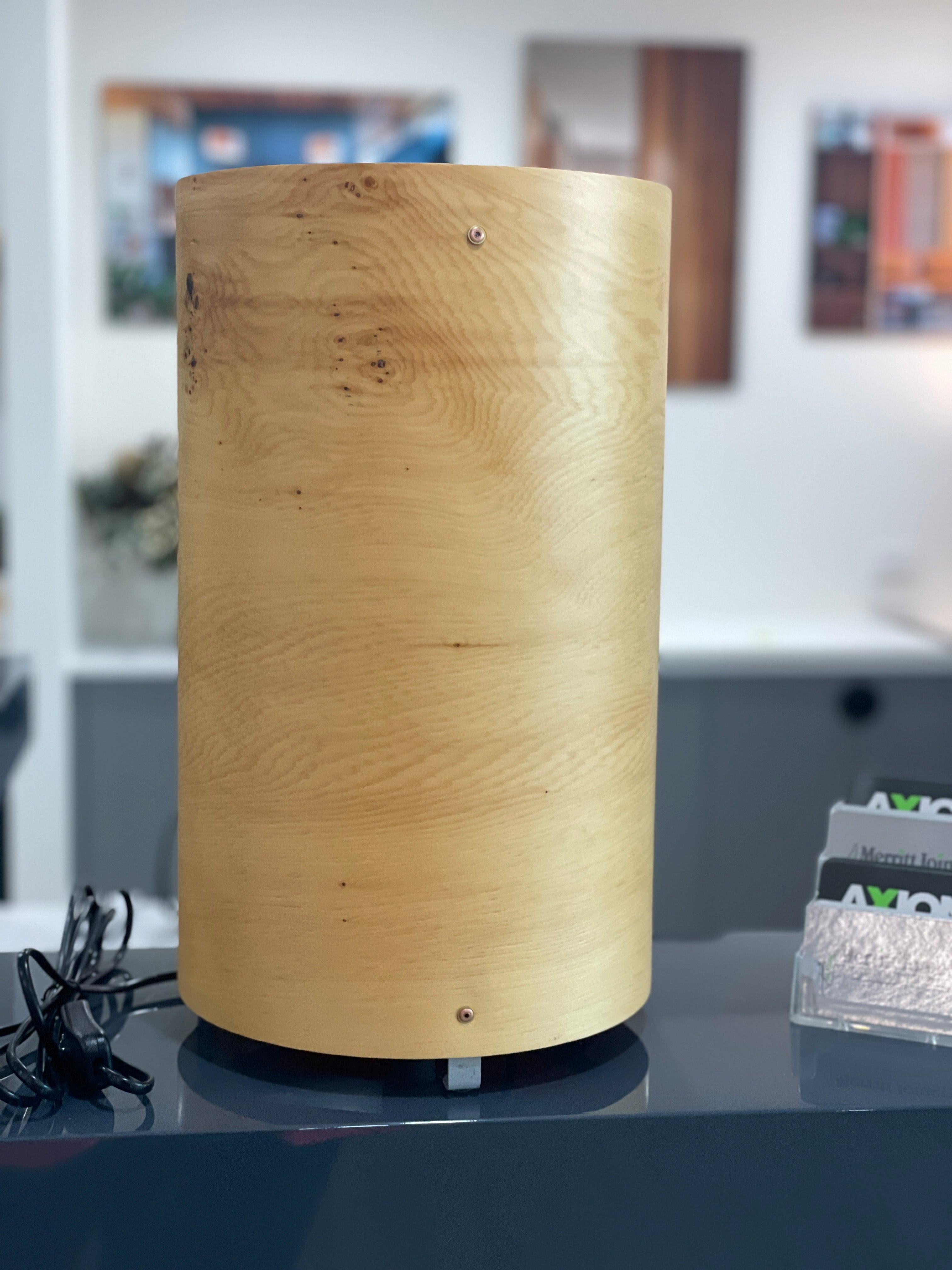 Gordon Veneer Lights Collection